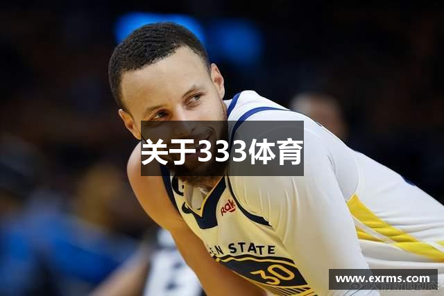 关于333体育